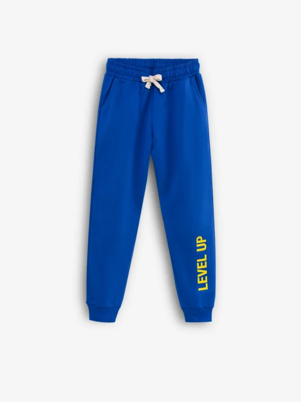 level up Joggers Pant