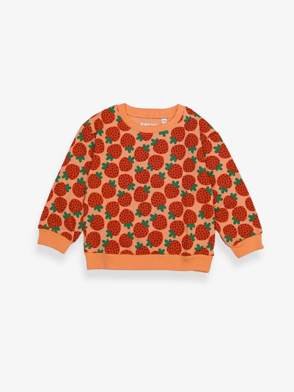 Loopknit: Strawberry Sweatshirt
